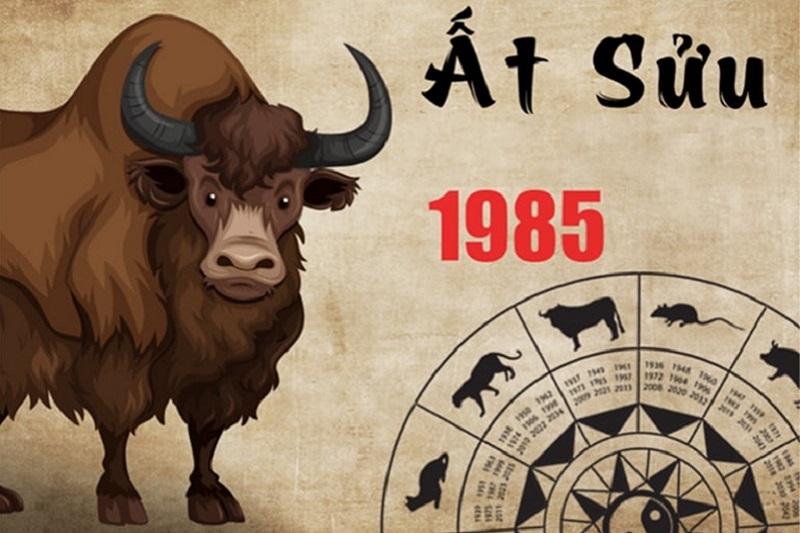 Người tuổi Sửu sinh năm 1985 có mệnh gì? Tuổi nào hợp? Tính cách và màu sắc phong thủy