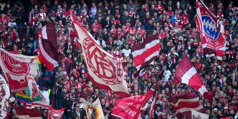 Tên của người hâm mộ Bayern là gì? Biệt danh của đội bóng Hổ Bavaria là gì?