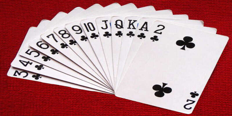 Cách Dụ Heo Đỏ Để Chặt: Nghệ Thuật Tâm Lý Và Chiến Thuật Đỉnh Cao