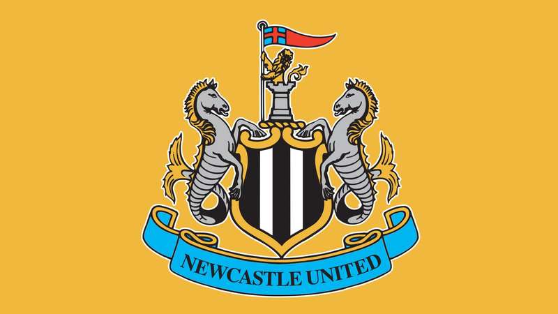 Newcastle United: Tổng quan câu lạc bộ bóng đá Chim chích chòe